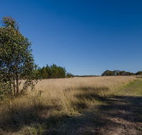 Scheyville horse riding trails - Accommodation NT