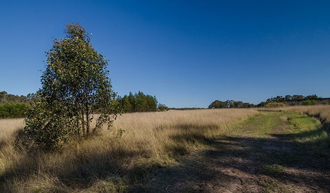 Scheyville Horse Riding Trails - Accommodation NT 0