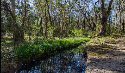 Scheyville Horse Riding Trails - Accommodation NT 2