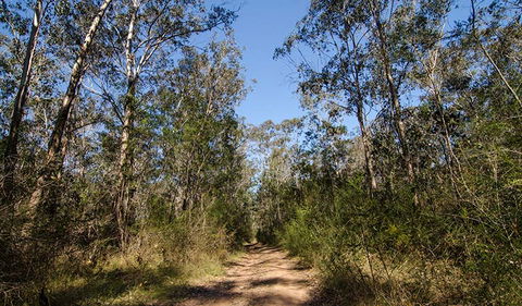 Scheyville Horse Riding Trails - Accommodation NT 3