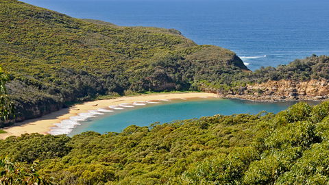 Bouddi National Park - Accommodation NT 0