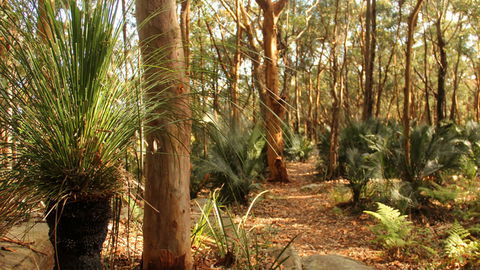 Bouddi National Park - Accommodation NT 1