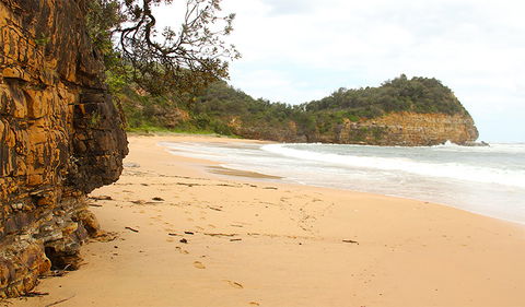 Bouddi Coastal Walk - Accommodation NT 1