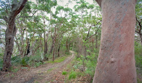 Strom Loop - Accommodation NT 3