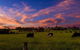 Made In Macarthur Food And Wine Tours - thumb 0