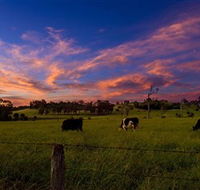 Made in Macarthur Food and Wine Tours - Accommodation NT