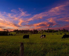 Made In Macarthur Food And Wine Tours - Accommodation NT 0