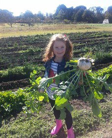 Made In Macarthur Food And Wine Tours - Accommodation NT 2