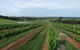 Made In Macarthur Food And Wine Tours - thumb 1