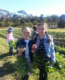 Made In Macarthur Food And Wine Tours - Accommodation NT 5