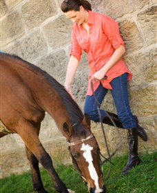 Sugarloaf Horse Centre - Accommodation NT 2