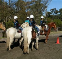 Darkes Forest Riding Ranch - Accommodation NT