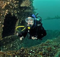 Ex-Hmas Adelaide Dive Site - Accommodation NT