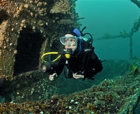Ex-Hmas Adelaide Dive Site - Accommodation NT 0