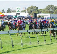 Morphettville Racecourse - Accommodation NT