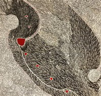 Marshall Arts - Accommodation NT