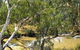 Quilberry Creek Fishing - thumb 0