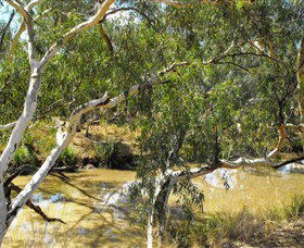 Quilberry Creek Fishing - Accommodation NT 0