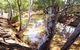 Quilberry Creek Fishing - thumb 1