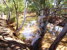 Quilberry Creek Fishing - Accommodation NT 1