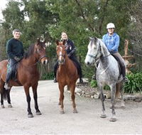 Academy of Dressage - Accommodation NT
