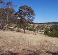Onkaparinga River National Park - Accommodation NT