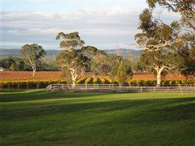 Top Note Vineyard - Accommodation NT 0
