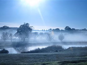 Top Note Vineyard - Accommodation NT 3