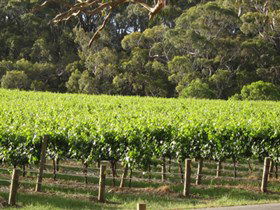 Top Note Vineyard - Accommodation NT 2