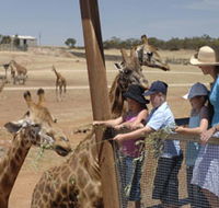 Monarto Open Range Zoo - Accommodation NT