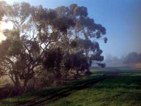 Island Pure Sheep Dairy And Cheese Factory - Accommodation NT 2