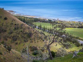 Lady Bay Beach - Accommodation NT 1