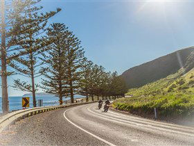 Lady Bay Beach - Accommodation NT 2