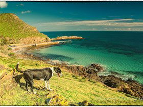 Second Valley Beach - Accommodation NT 1