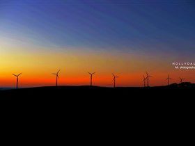 Starfish Hill Windfarm - Accommodation NT 0