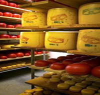 Alexandrina Cheese Company - Accommodation NT