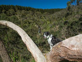 Ingalalla Waterfalls - Accommodation NT 1