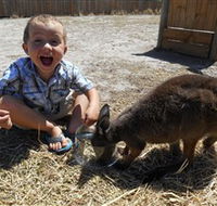 Animal Farm Goolwa - Accommodation NT