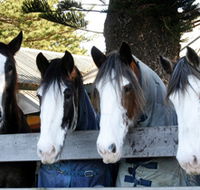 Victor Harbor Horse Drawn Tramway - Accommodation NT