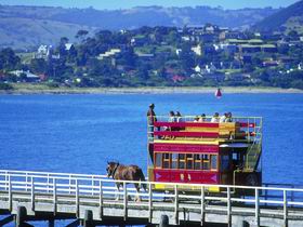 Granite Island Recreation Park - Accommodation NT 0