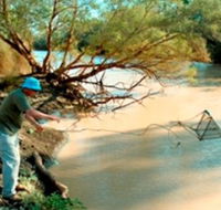 Charleville - Ward River Fishing Spot - Accommodation NT