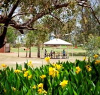 Charleville - Graham Andrews Parklands - Accommodation NT