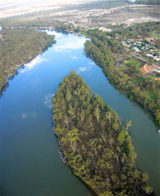Sturt's Tree - NT Tourism 0
