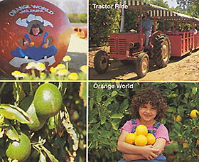 Orange World - Accommodation NT 1