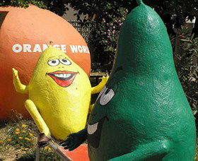 Orange World - Accommodation NT 0