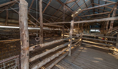 Mungo Woolshed - Accommodation NT 2