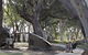 Wallam Creek, Bollon - thumb 0