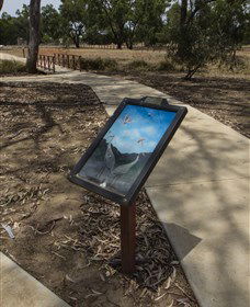Wallam Creek, Bollon - Accommodation NT 1