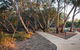 Wallam Creek, Bollon - thumb 3
