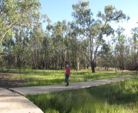 Ben Scott Memorial Bird Trail - Accommodation NT 0